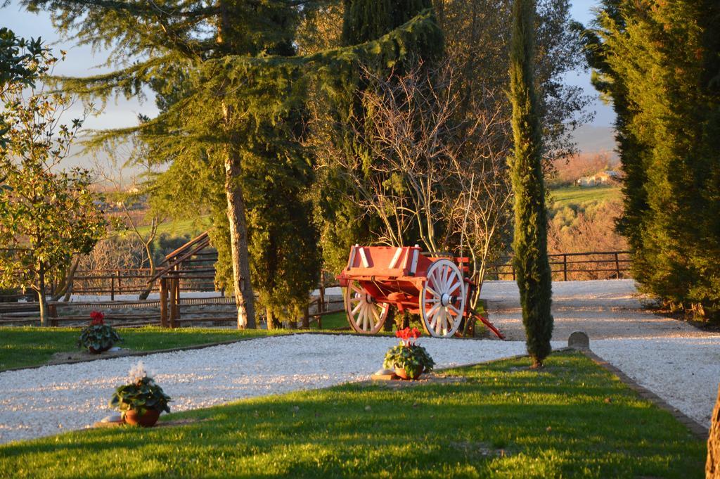 Agriturismo La Collina Пітільяно Номер фото
