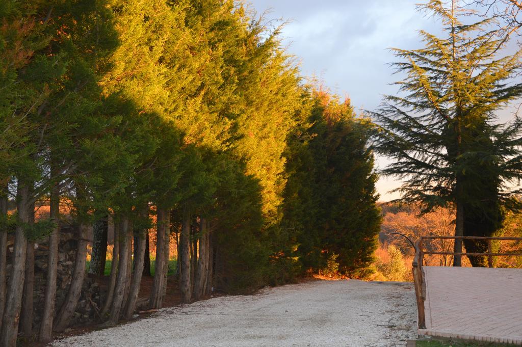 Agriturismo La Collina Пітільяно Екстер'єр фото
